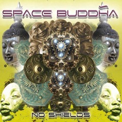 Space Buddha - In The Zone (2008)