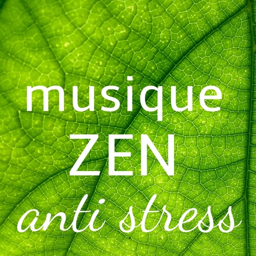 musique zen pour chat stressé