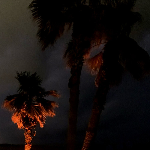 Your likes from Spotify