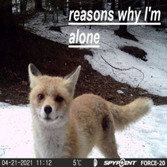 reasons why I'm alone