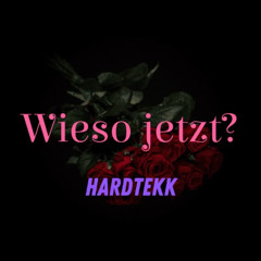 Wieso jetzt? - Hardtekk Remix