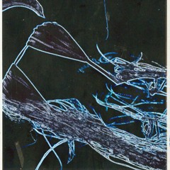 icy bitch [stepmohm]