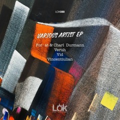 Premiere: Vincentiulian - Mirror Kiss [LOK088]