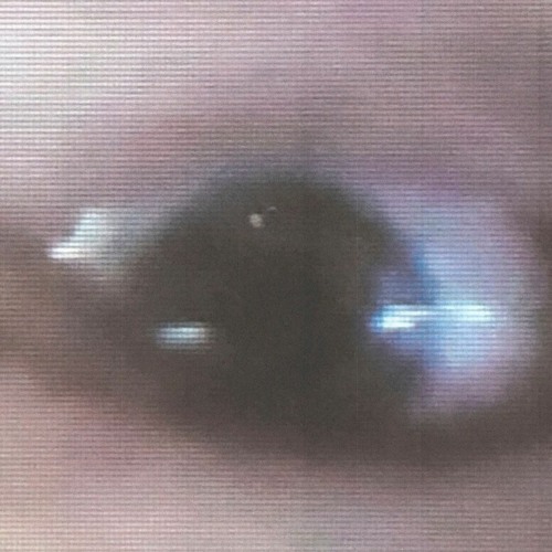 Thought Vision Doubt Side II