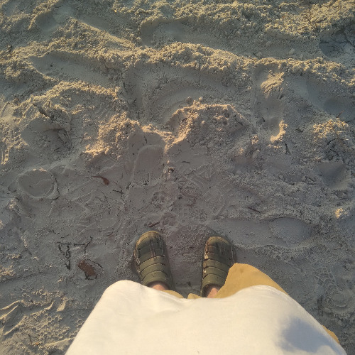 dust and gin (Take Milk)