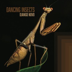 Dancing Insects