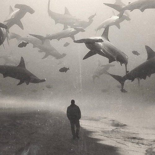 BREAK MY STRIDE (KOLLABIERT SCHRANZ REMIX)