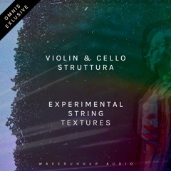 Violin Struttura: Evolve - Allen Constantine