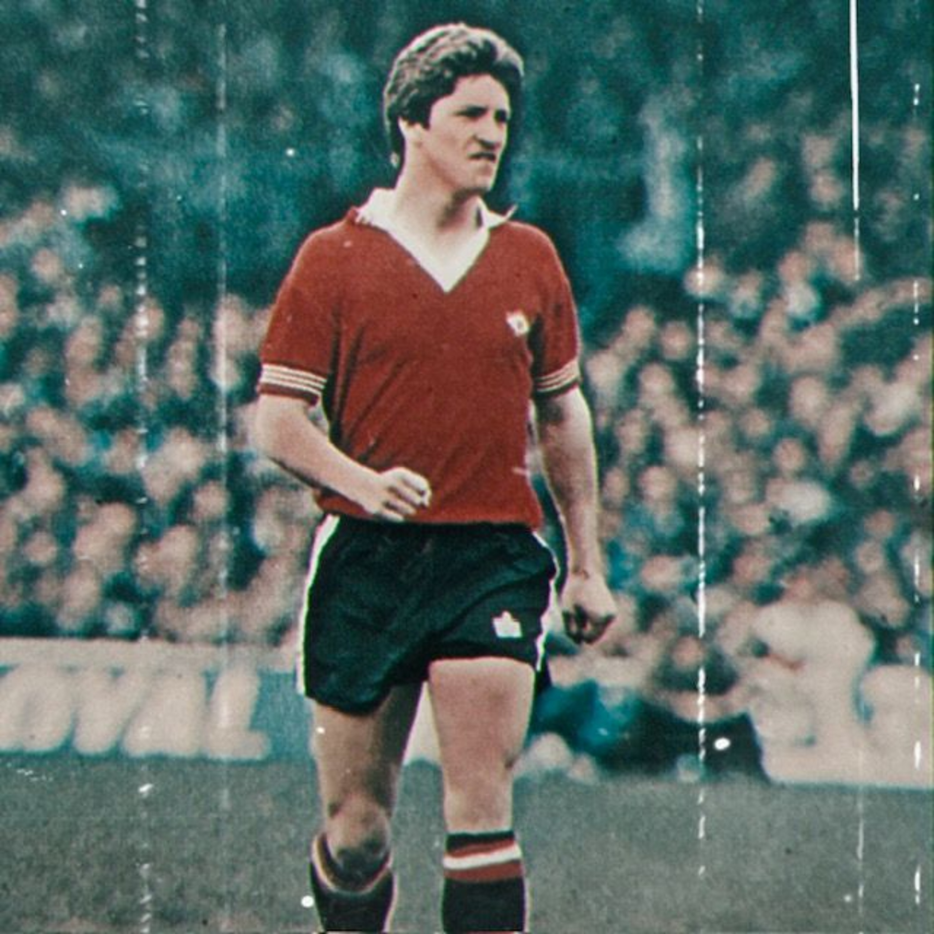 Generasjon Tippekamp