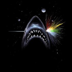 DARK SHARK 002