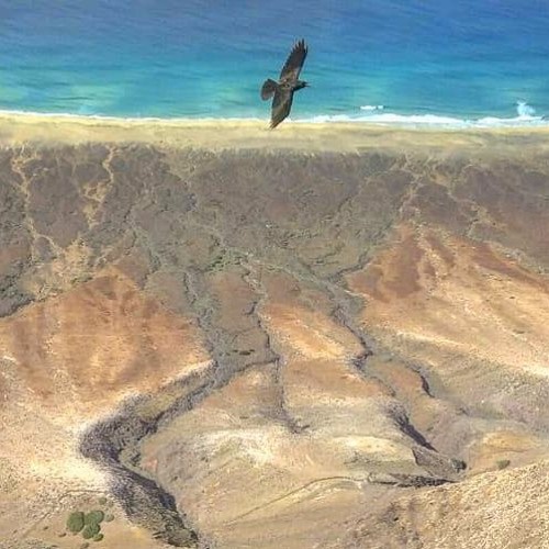 Beyond The Edge