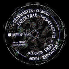 ND031 Various Artists - Neptune Discs Vol.11