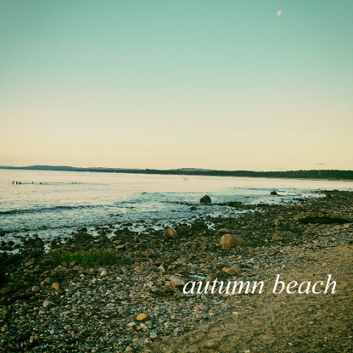 autumn beach (naviarhaiku617)