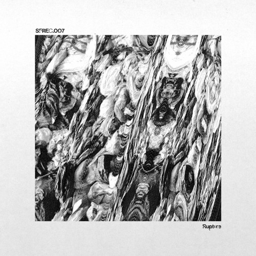 Premiere: The Botched Noise Makers Committee - Pulse [SFREC007]