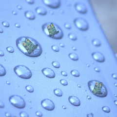 first real rain in many weeks