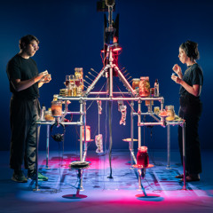 Nazif Can Akçalı | Magia comestibilis | Installation