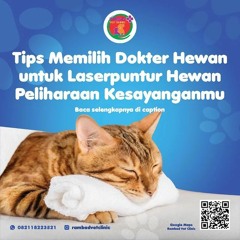 0817-273-670 Tempat Vaksin Kucing Tangerang Selatan, Rambad Vet Clinic