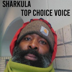 Sharkula - Top Choice Voice