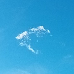 La danse des méduses alcooliques