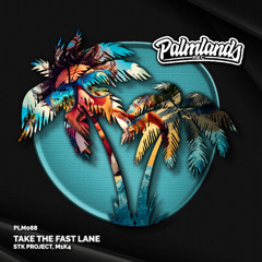 STK Project, m1k4 - Take the Fast Lane (Streaming Edit) [Palmlands Records]