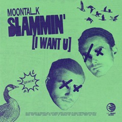 Slammin' (I Want U) [Extended Mix]