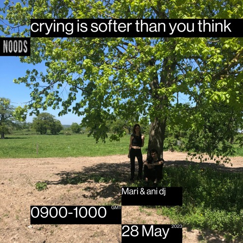 Noods Radio #3 - crying is softer than you think, Mari & ani dj (28/05/23)