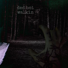 dedboi walkin (prod. mastercard2k n 06brick)