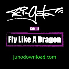 Fly Like The Dragon