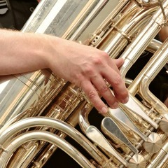 Brass Knobs