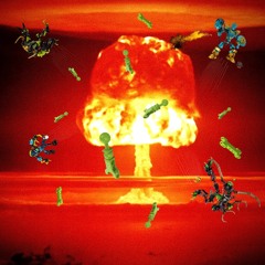 LEGALIZE NUCLEAR BOMBS
