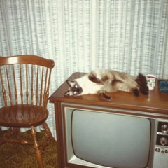 you don't have a reason