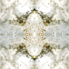 Celenna