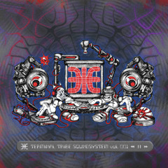 Various Artists - Terminal Tribe Soundsystem vol.001 - 03 Phanta - Uso