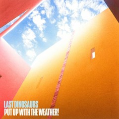 Last Dinosaurs - Put Up With The Weather! (Cover)