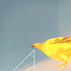 Das Saund - How I Came To Embrace the Apocalypse