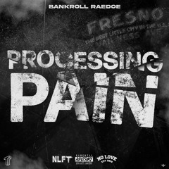 Bankroll RaeDoe - Processing Pain (Prod. YvnngEcko) [Thizzler Exclusive]