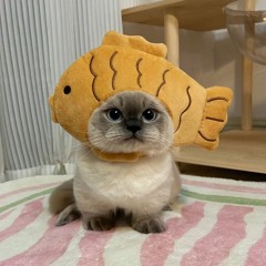 [MEOW] I Was Reincarnated As A Fish, And This Is What I Produced