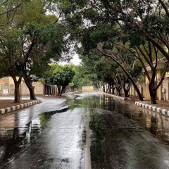 ظبى الخلا - عوض أبو حجار