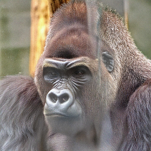 Behind the glass
