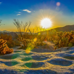 Tide Sequence Mix Series