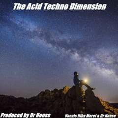 The Acid Techno Dimension Dr House 2020