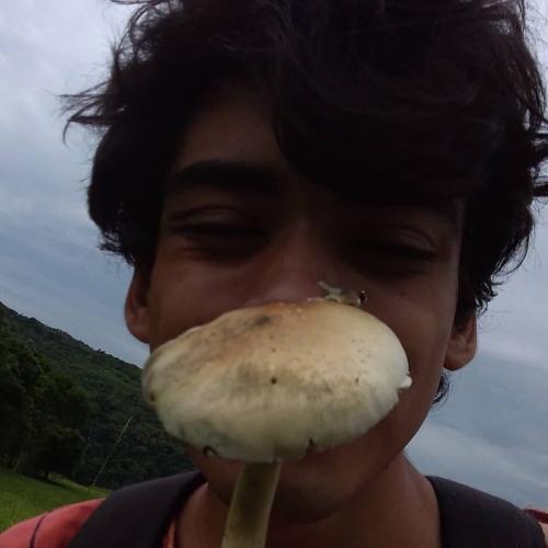 Anandathera - Aquele Que Da Mata Veio