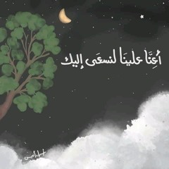 يوم المزيد | سعيد الكملي 🌿