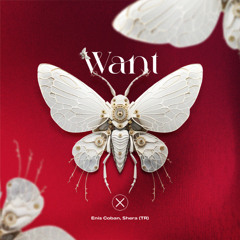 PREMIERE | Enis Coban & Shera (TR) - Want [Axiom Music]