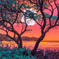 فراشة وزهرة - عبير نعمه