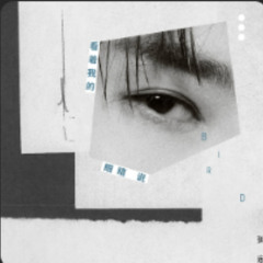 Nhìn vào mắt anh và nói - ELAK Remix - 看着我的眼睛说 - 张远