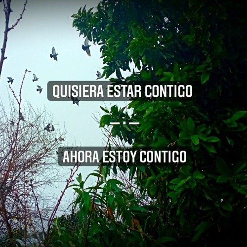 Stream Quisiera Estar Contigo - Ahora Estoy Contigo (Demo) by SVR | Listen  online for free on SoundCloud