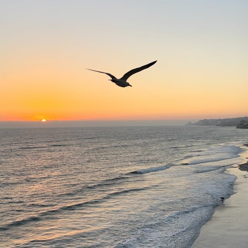 Commitment Issues #27 / Yacht Rock & Soul & music for mellow summer days II / Radio 80000