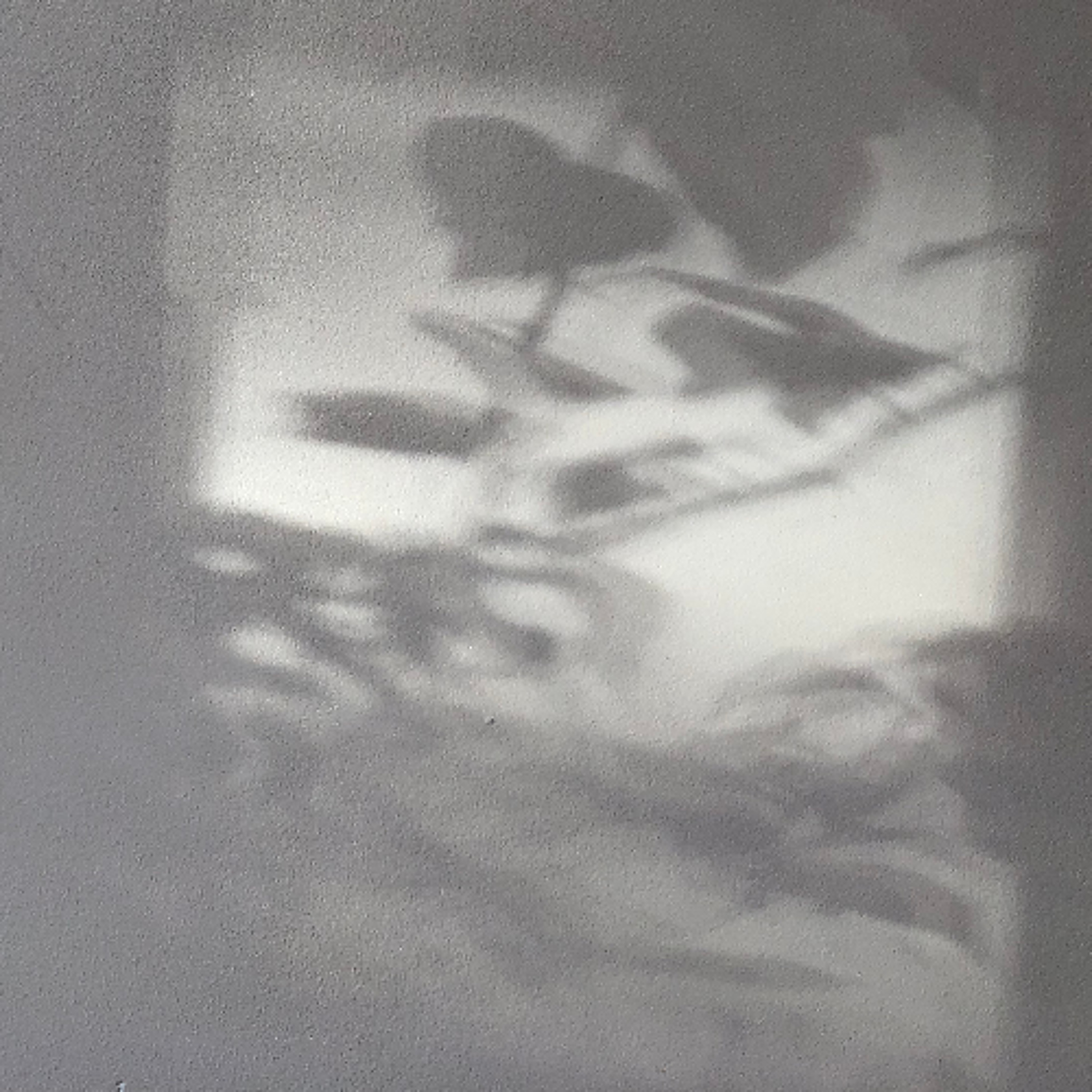 TELECHARGER session #111 episode artwork