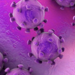 Neat Virus